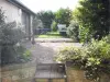 86-back-garden