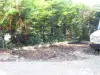 58-front-garden2